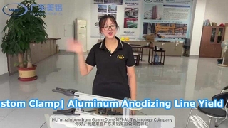 Pince personnalisée pour ligne de production d'anodisation de l'aluminium