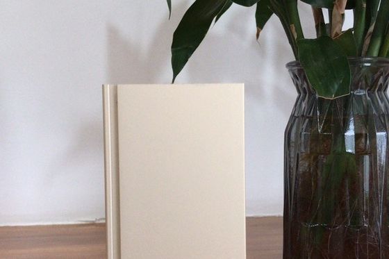 Bon prix Ligne de production d'oxydation Manunal d'une capacité de fourniture mensuelle de 900 tonnes en ligne