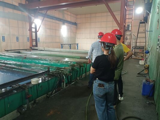 Bon prix CDEY Crane de levage spéciale pour la ligne d'oxydation anodisante d'aluminium. en ligne